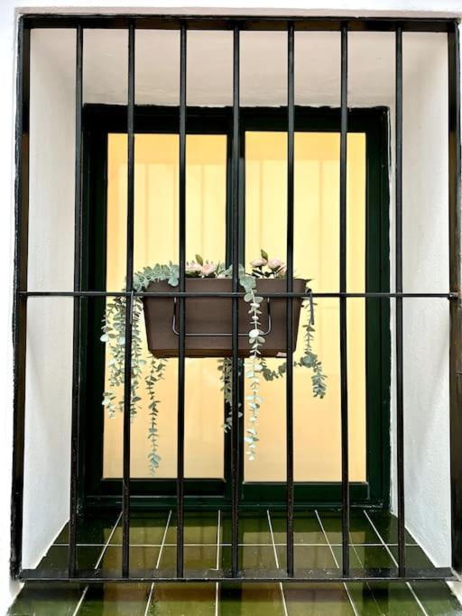 Auxiliadora Luxury Apartment Seville Exterior photo